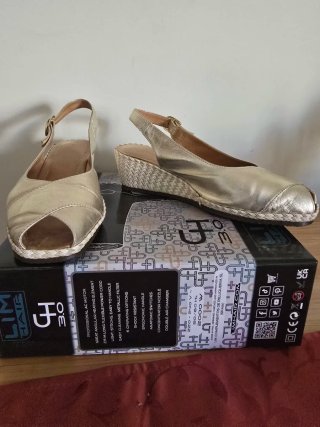 Zapatos dorados
