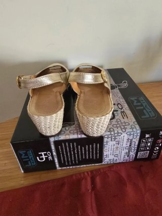 Zapatos dorados