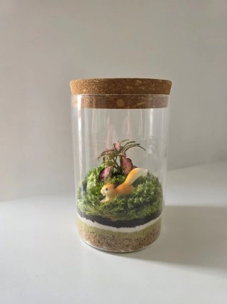 Terrario con fittonias y ardilla