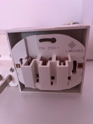 Lote clavijas y enchufes 25A-250V