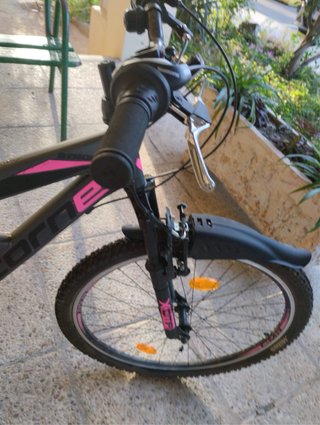 Bicicleta de montaña