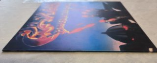 Saxon Power & The Glory LP Vinile