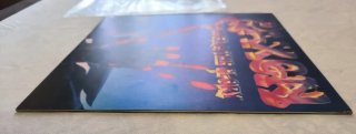 Saxon Power & The Glory LP Vinile