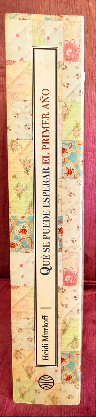 Libro Qué se puede esperar el primer año