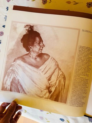 Vinilo El Flamenco y las Artes - Círculo de Lector