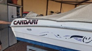 Barco de recreo de 4.5 metros con motor y remolque
