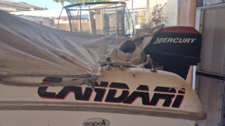 Barco de recreo de 4.5 metros con motor y remolque