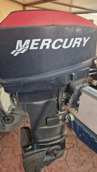 Barco de recreo de 4.5 metros con motor y remolque