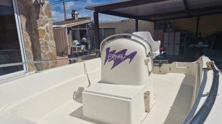 Barco de recreo de 4.5 metros con motor y remolque