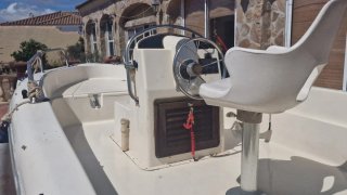 Barco de recreo de 4.5 metros con motor y remolque