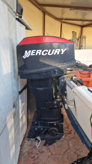 Barco de recreo de 4.5 metros con motor y remolque