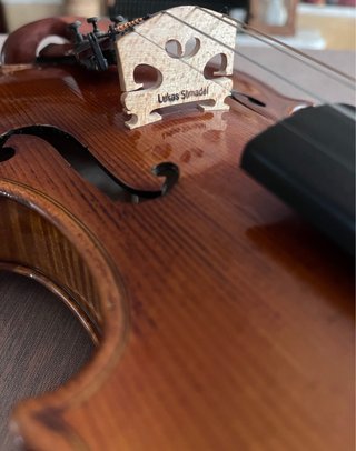 Violín Antonius Stradivarius Cremoenfis
