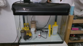 Acuario 100L con accesorios