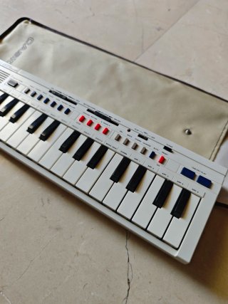 Teclado Casio PT-20