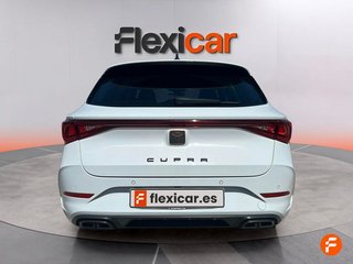 Cupra León SP 1.5 eTSI 110kW (150CV) DSG