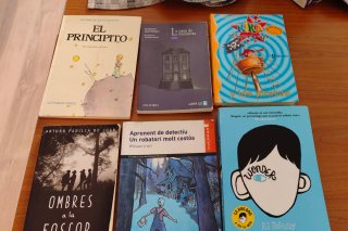 Lote de libros