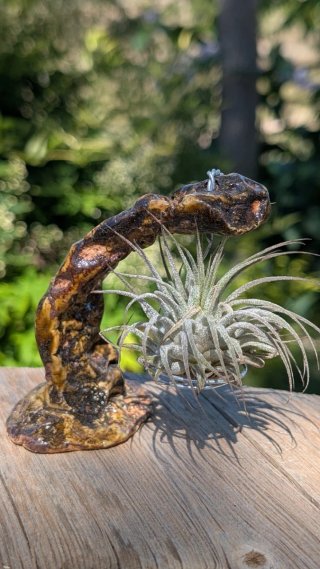 Soporte Cerámico de Autor + Planta de Aire