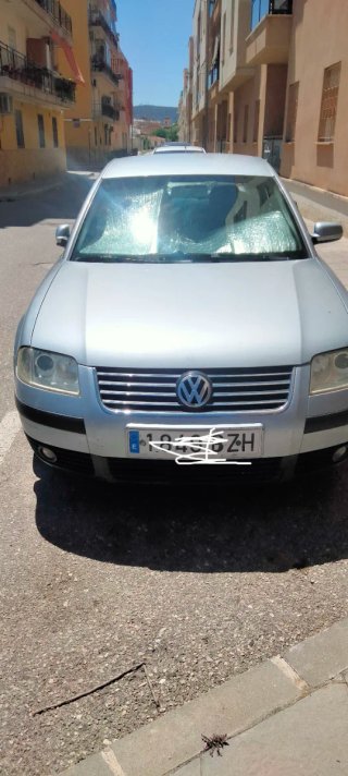 Volkswagen Passat 2003