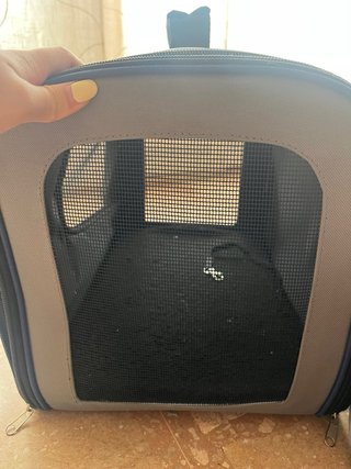 Transportín perro y cama viaje