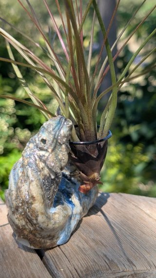 Soporte de cerámica artesanal para planta aire