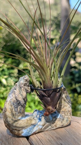 Soporte de cerámica artesanal para planta aire