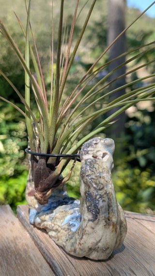 Soporte de cerámica artesanal para planta aire