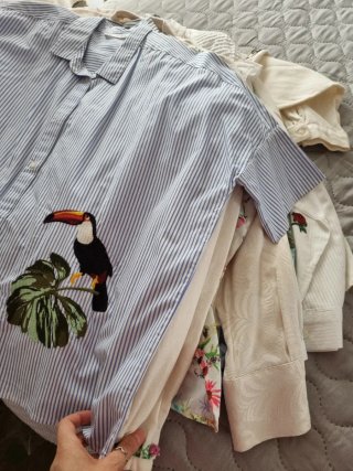 Lote 20 Camisas Zara