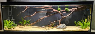 Acuario 300L