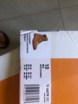 Stivaletti Timberland Beige/Marrone Uomo
