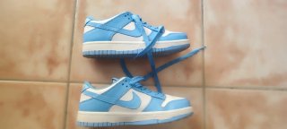 Zapatillas Nike Dunk Azul y Blanco