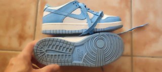 Zapatillas Nike Dunk Azul y Blanco