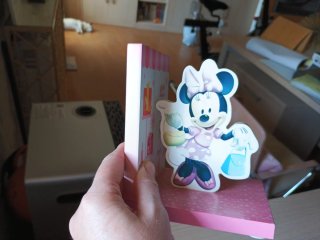 Fermalibri Disney Minnie e Daisy