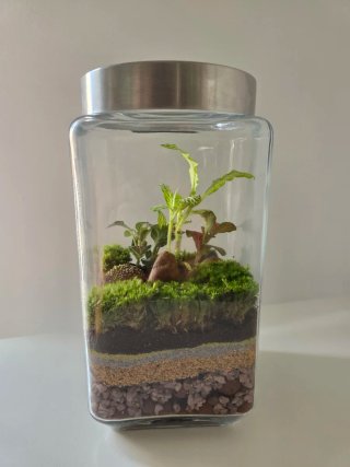 Terrario artesanal hecho a mano,  Con figura erizo