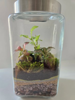 Terrario artesanal hecho a mano,  Con figura erizo