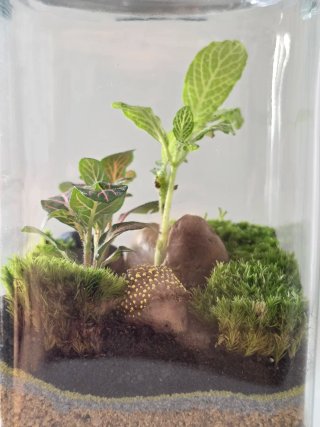 Terrario artesanal hecho a mano,  Con figura erizo