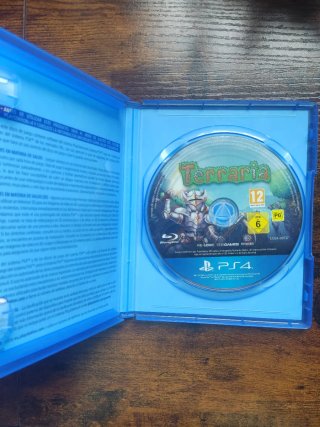 Terraria (PS4)