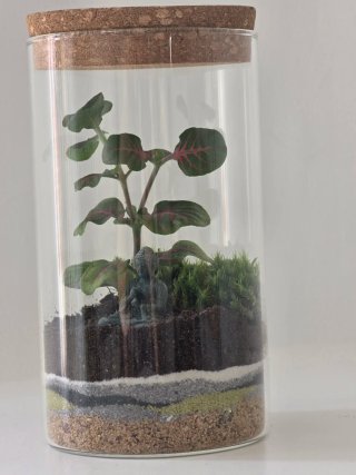 Terrario artesanal, mini paisaje y figura de Buda