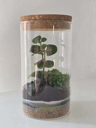 Terrario artesanal, mini paisaje y figura de Buda