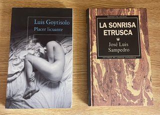 Lote 6 libros novelas españolas / 2 euros el lote