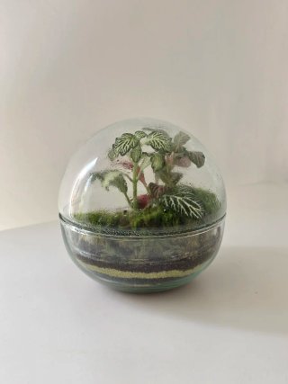 Terrario Esfera de cristal, 12x12 cm