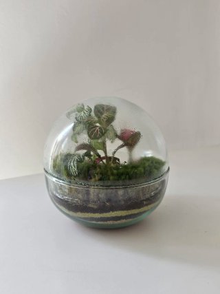Terrario Esfera de cristal, 12x12 cm