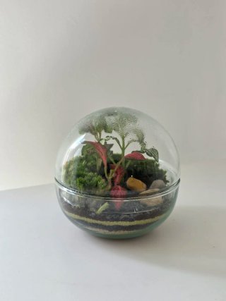 Terrario Esfera de cristal, 12x12 cm