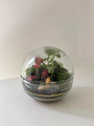Terrario Esfera de cristal, 12x12 cm