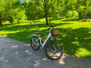 Bicicleta Eléctrica