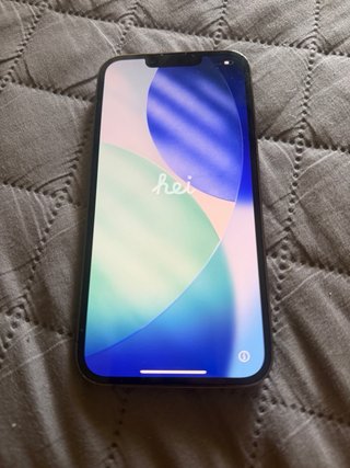 iPhone 13 Pro Gris Plata