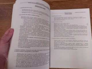 Apuntes de Historia Curso 2024/2025