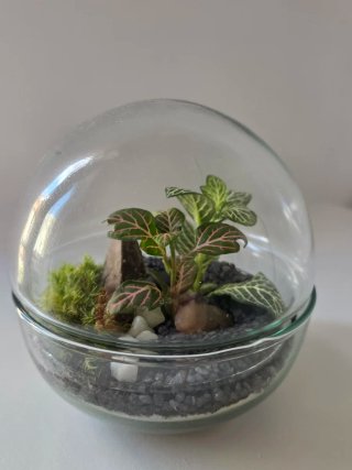 Terrario esfera cristal 12x12cm