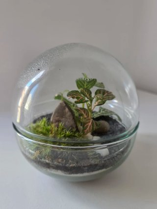 Terrario esfera cristal 12x12cm
