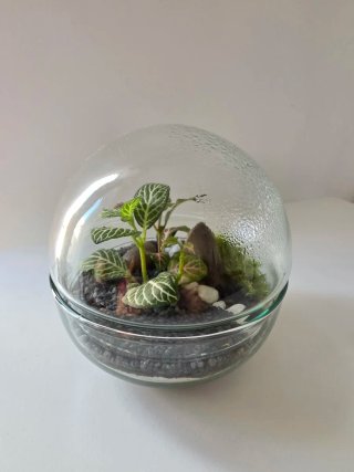 Terrario esfera cristal 12x12cm