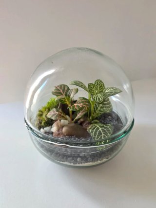 Terrario esfera cristal 12x12cm
